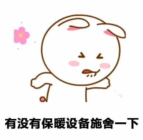 寒冬行动丨极寒也不怕！各式扫雪除冰装备已就绪(图2)