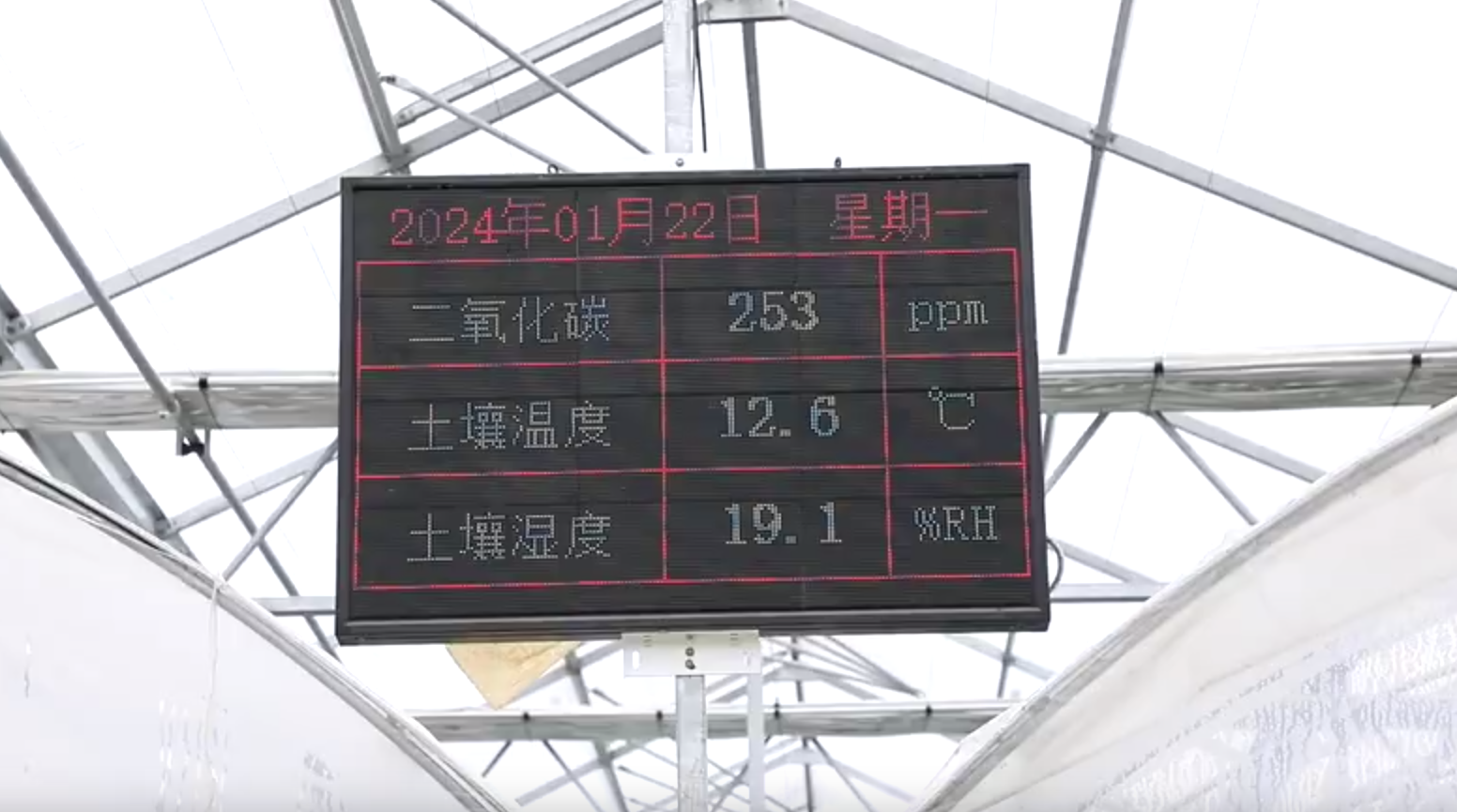 冰雪降临浙江多地多部门联合出动保障居民暖暖过冬(图4)