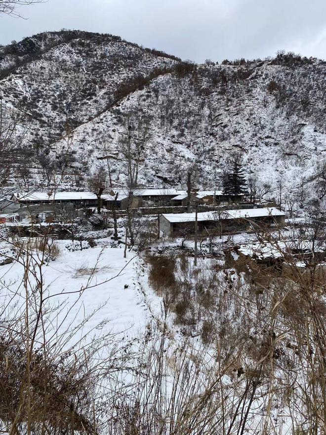 北京海拔最高山村：积雪已没过脚面山林银装素裹(图4)