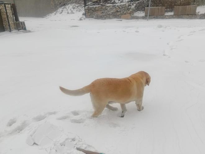 北京海拔最高山村：积雪已没过脚面山林银装素裹(图2)