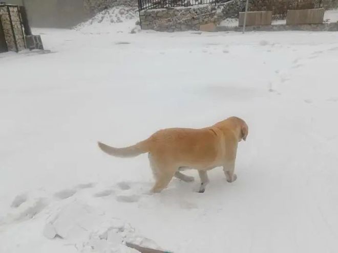 北京海拔最高山村：门头沟江水河村积雪已没过脚面山林银装素裹(图2)