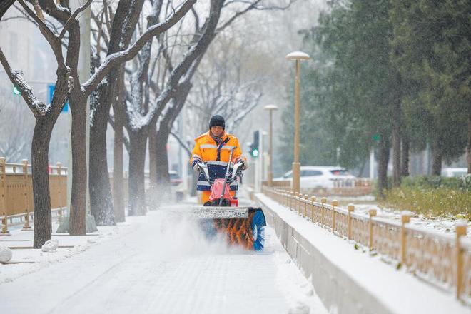 北京今年城市绿化带卸下“挡盐铠甲”(图1)