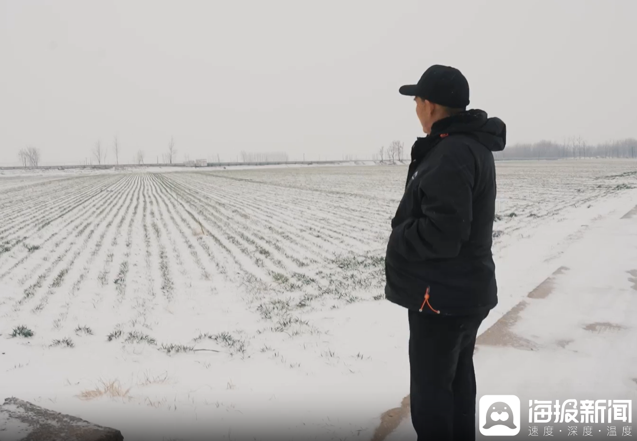 海报长：“大衣哥”朱之文的战争(图8)