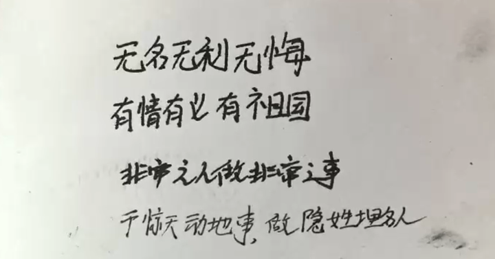 读懂这本日记就读懂了金城龙(图2)